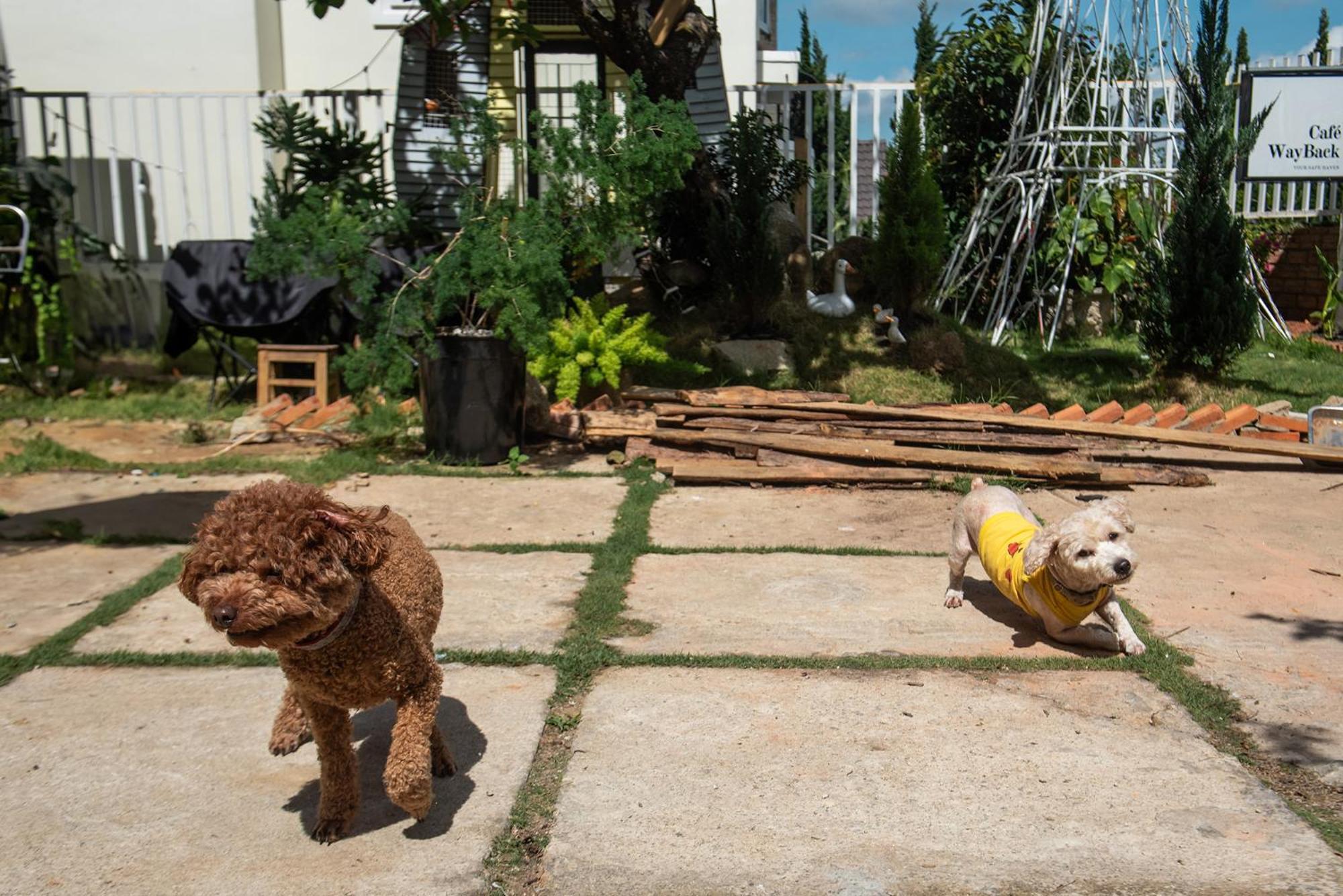 Chai Nho Homestay Da Lat Kültér fotó