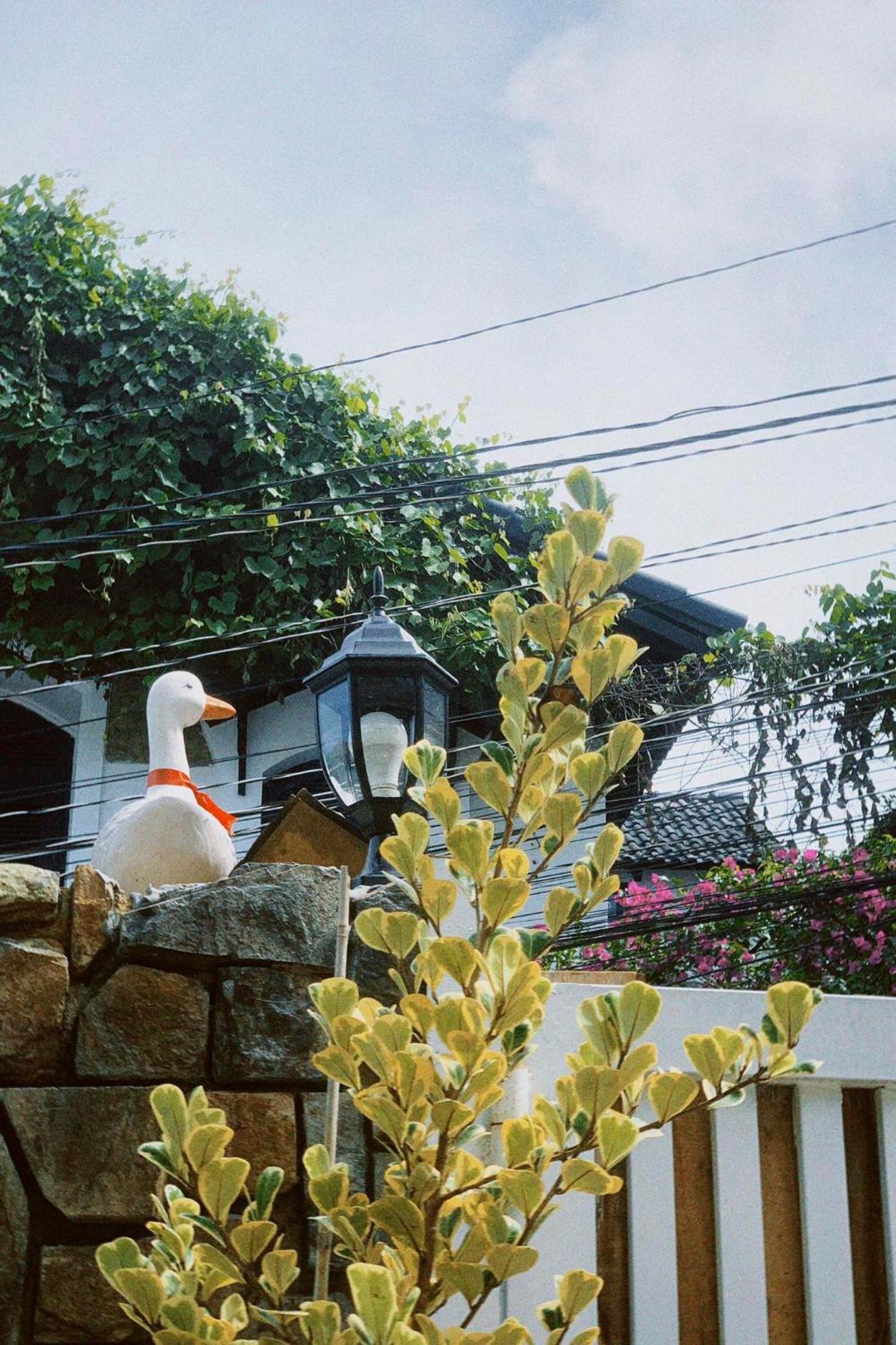 Chai Nho Homestay Da Lat Kültér fotó